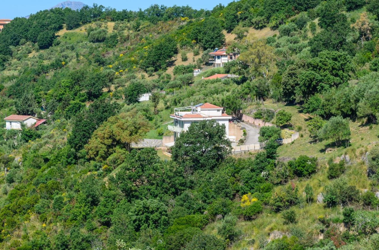 Driùs edodè - b&b affittacamere Torraca Extérieur photo