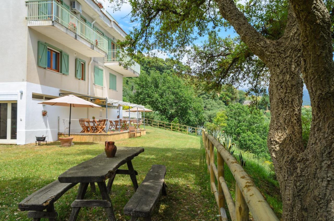 Driùs edodè - b&b affittacamere Torraca Extérieur photo