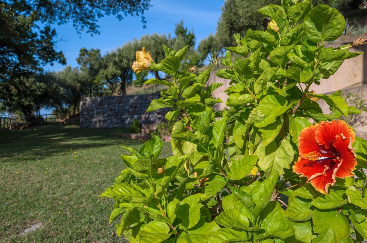 Driùs edodè - b&b affittacamere Torraca Extérieur photo